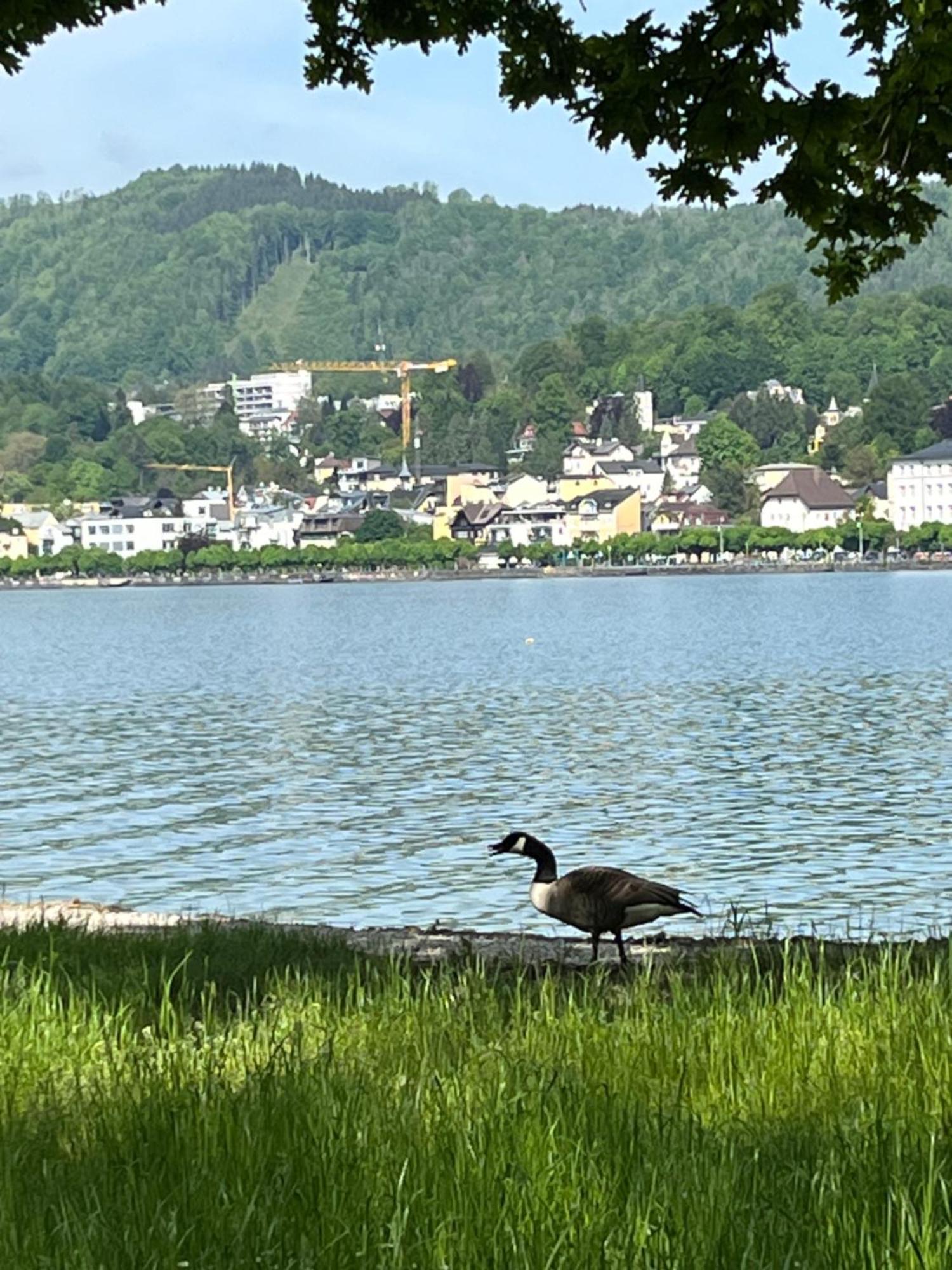 Altstadtjuwel In Gmunden Am Traunsee Zewnętrze zdjęcie