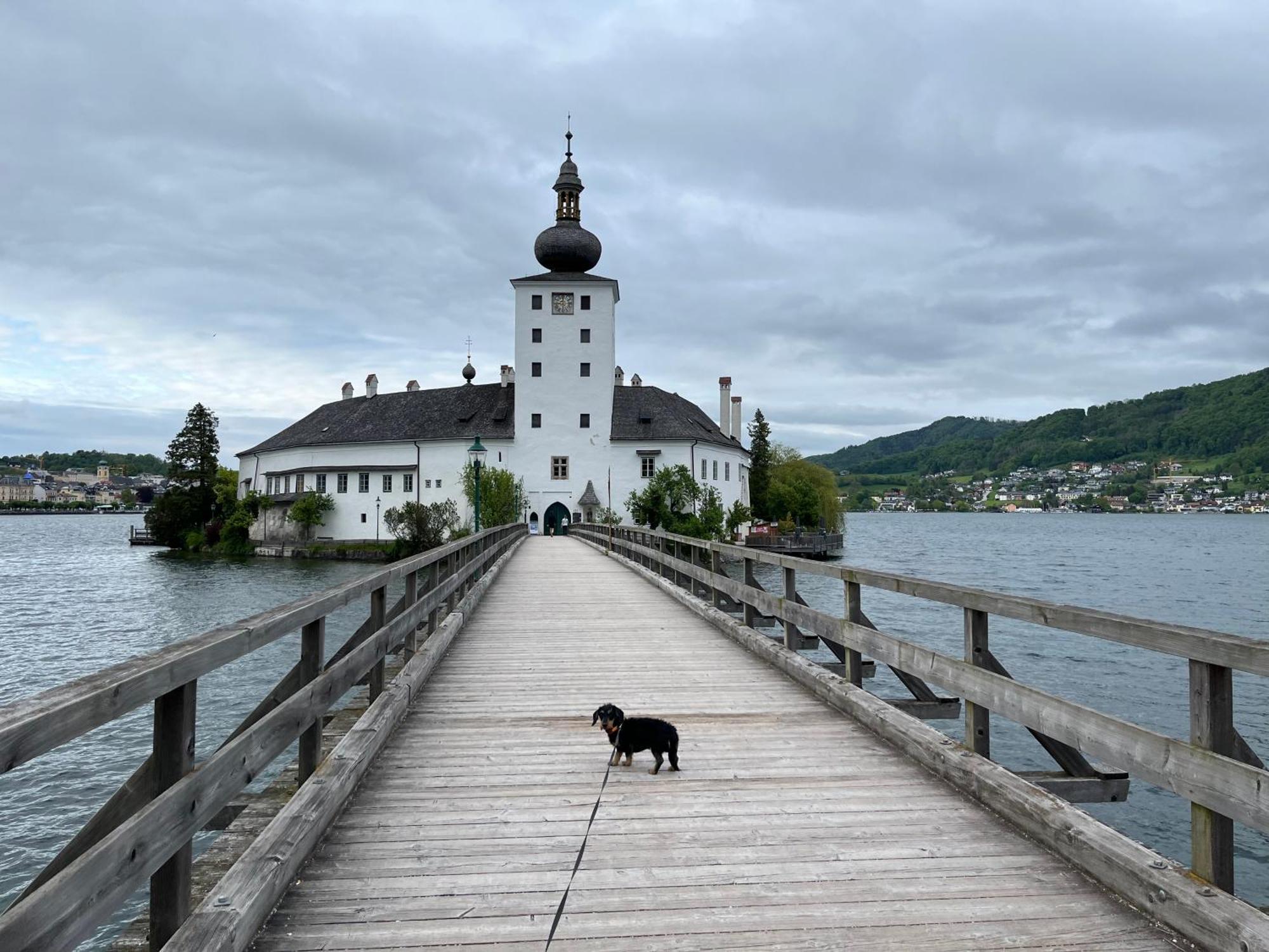 Altstadtjuwel In Gmunden Am Traunsee Zewnętrze zdjęcie