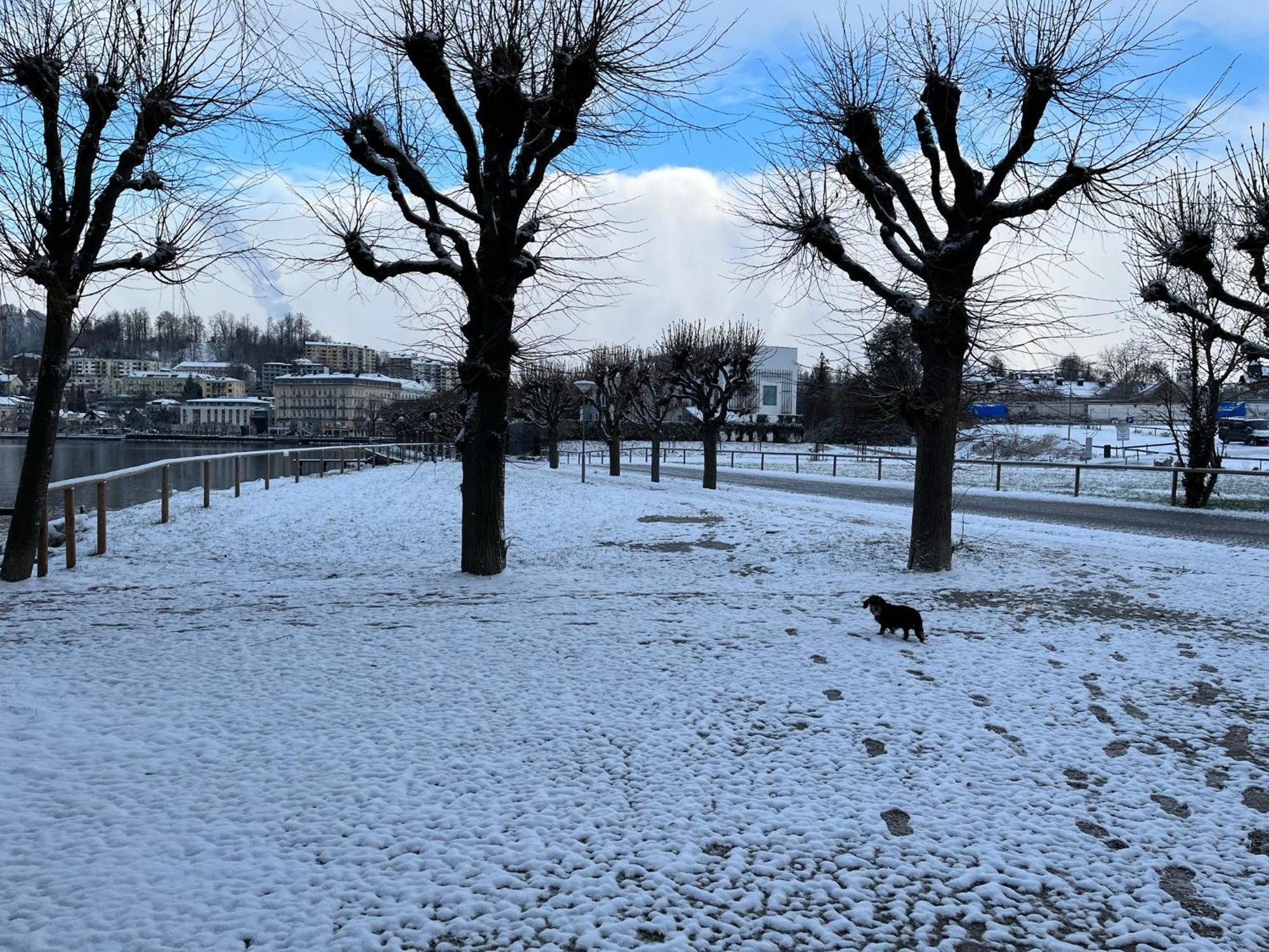 Altstadtjuwel In Gmunden Am Traunsee Zewnętrze zdjęcie